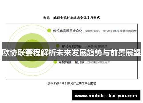 欧协联赛程解析未来发展趋势与前景展望