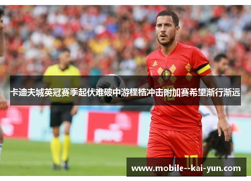 卡迪夫城英冠赛季起伏难破中游桎梏冲击附加赛希望渐行渐远 卡迪夫城英冠赛季起伏难破中游桎梏冲击附加赛希望渐行渐远